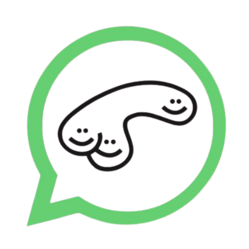Chat on WhatsApp